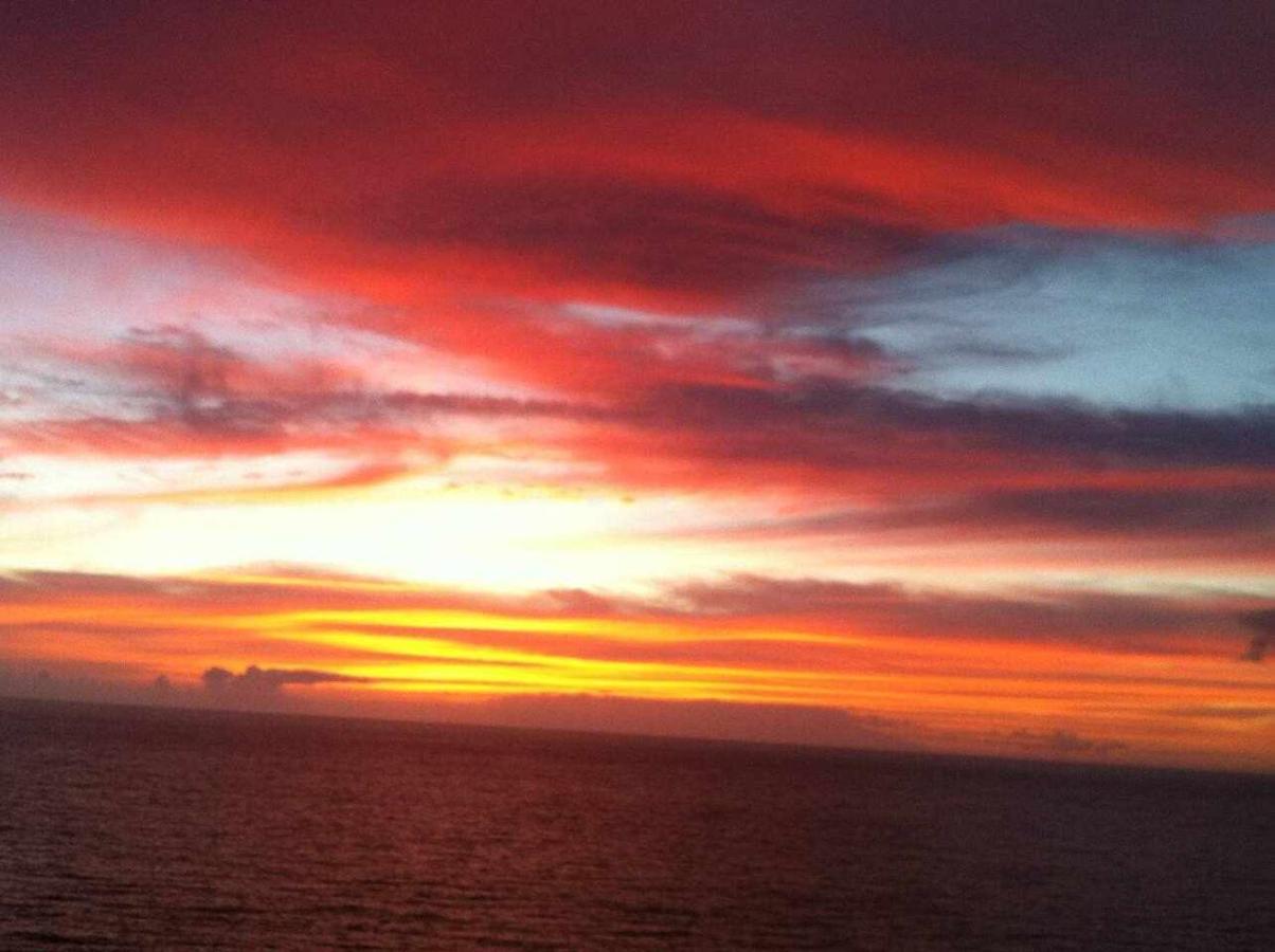 Los Gigantes Paradise Acantilado de los Gigantes Eksteriør billede